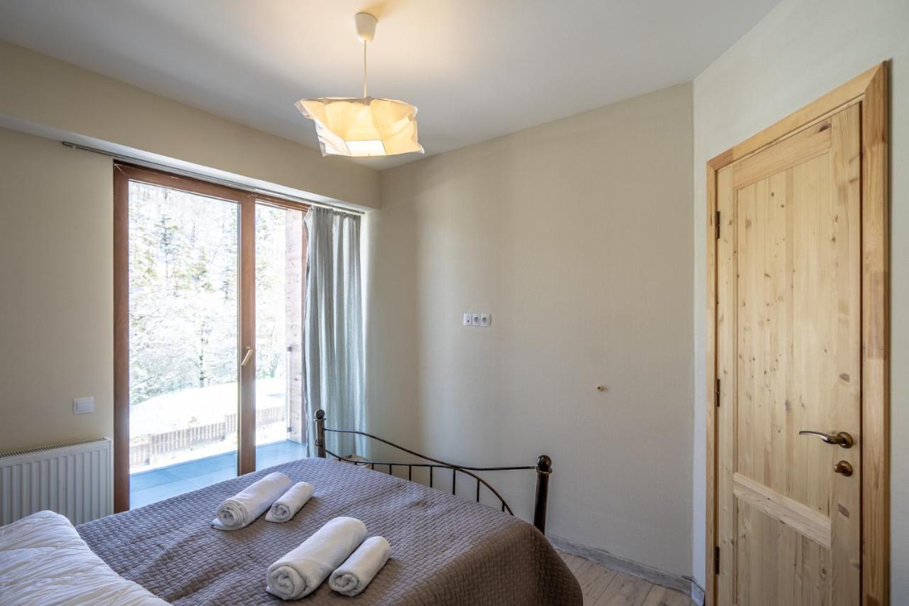 Didveli Valley Bakuriani Dış mekan fotoğraf